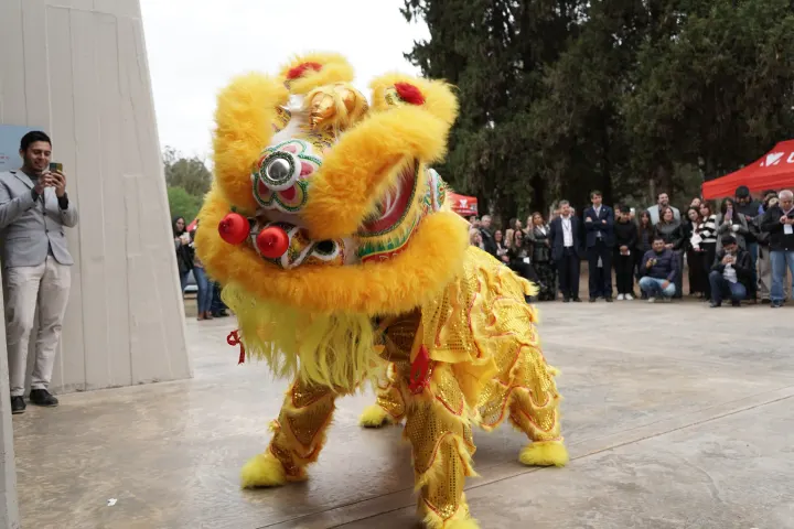 China Day Salta 2026